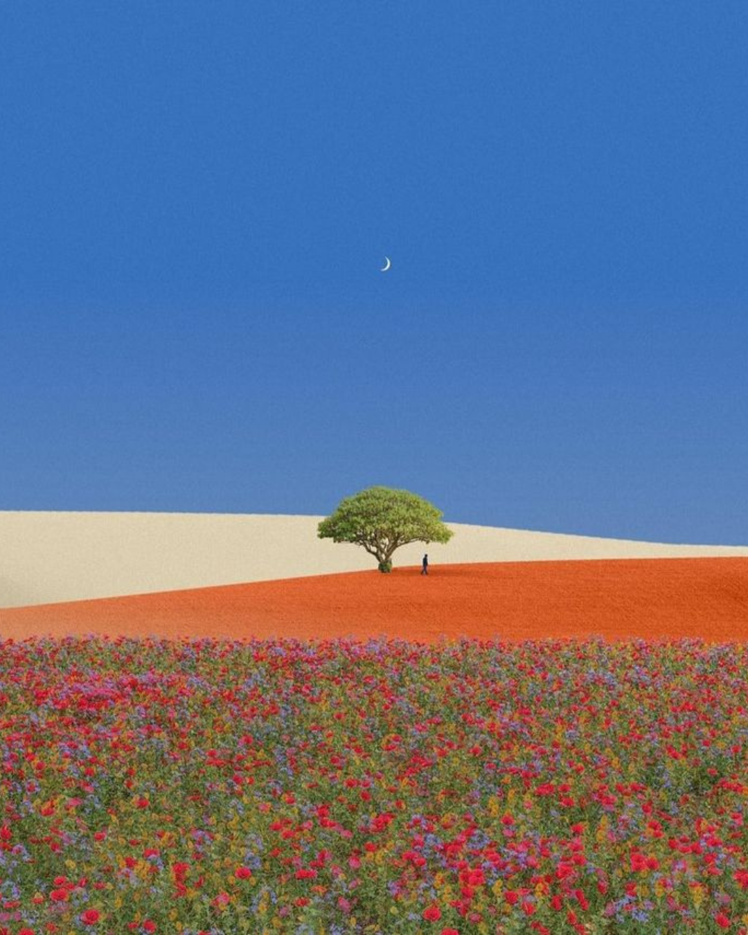 2_6ff05ded-bed8-4292-a193-6e3d03f1e24b.png